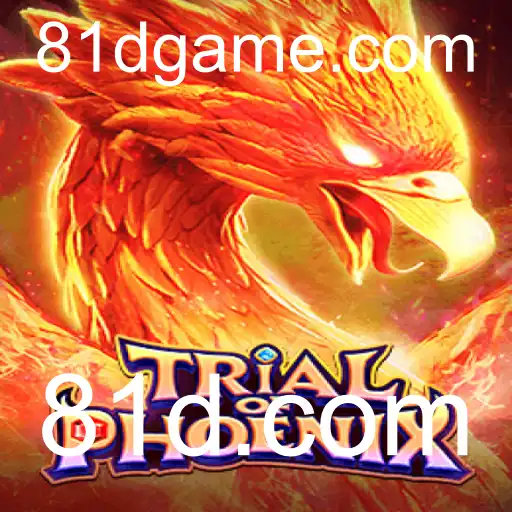 81d.com Casino App